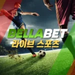 벨라벳 종합 가이드: 플랫폼 이용 전 알아볼 주요 정보