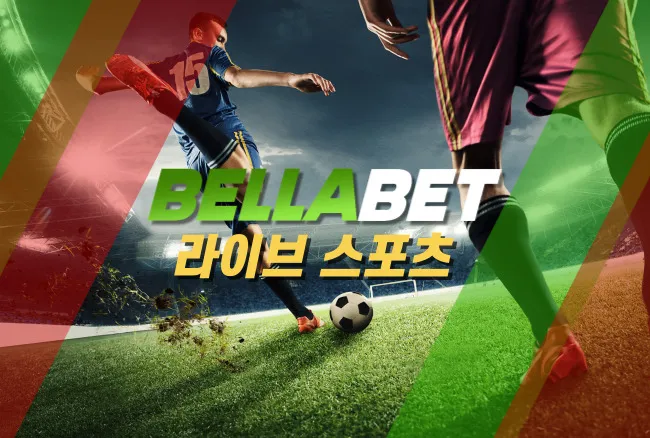 벨라벳 종합 가이드: 플랫폼 이용 전 알아볼 주요 정보